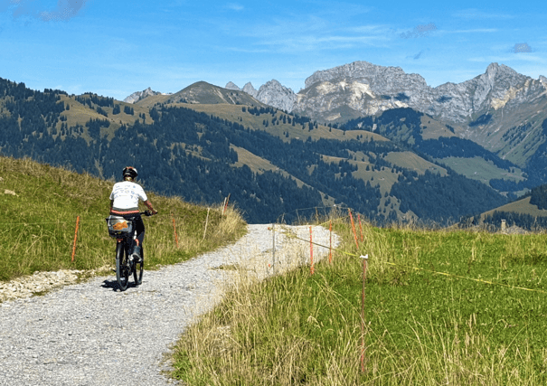Mandelbärli auf Velotour
