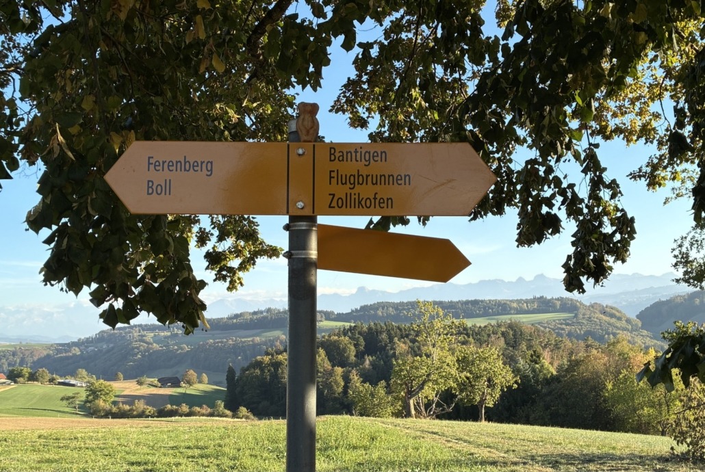 WanderBär