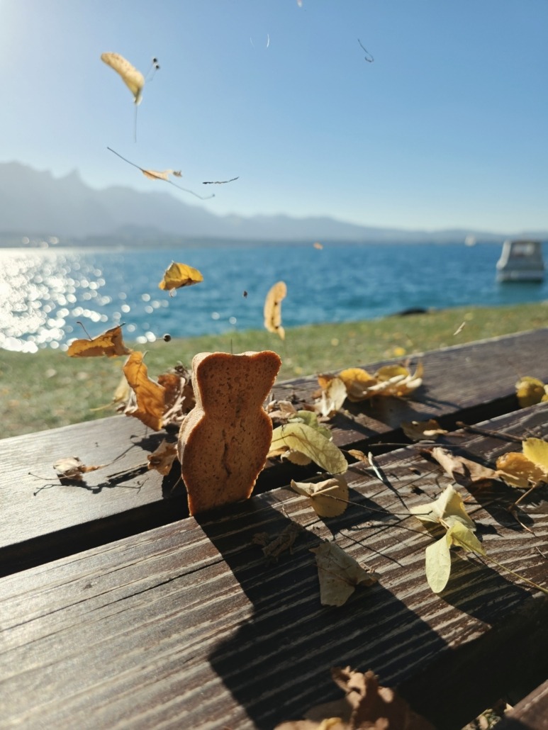 Chill-Bärli macht Herbstferien am Thunersee