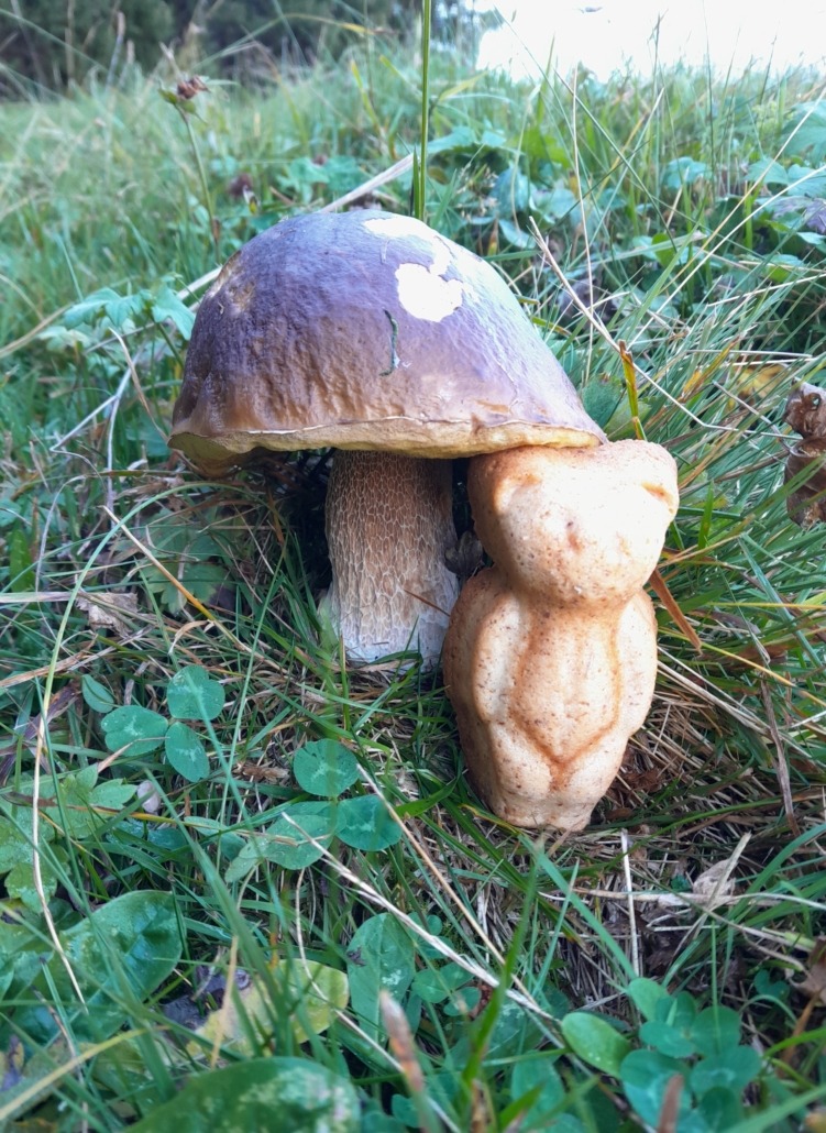 Natur Power