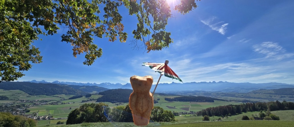 Ballenbühl Büabli