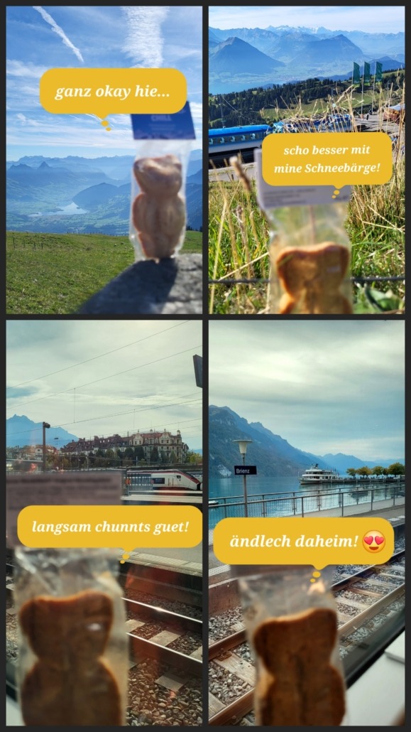 Das Feriebärli will nach Hause