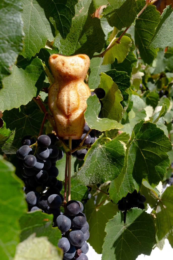 Trubärli
