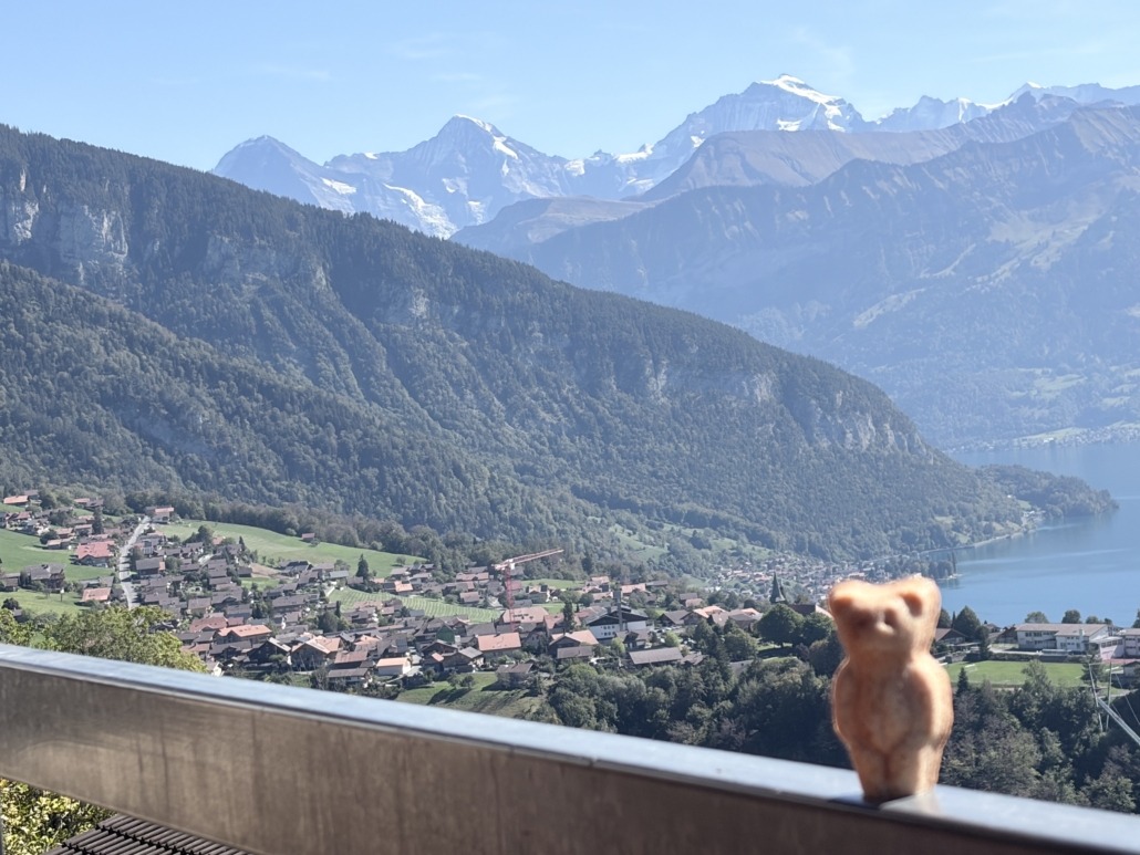 Eiger Mönch Jungfrau Bärli