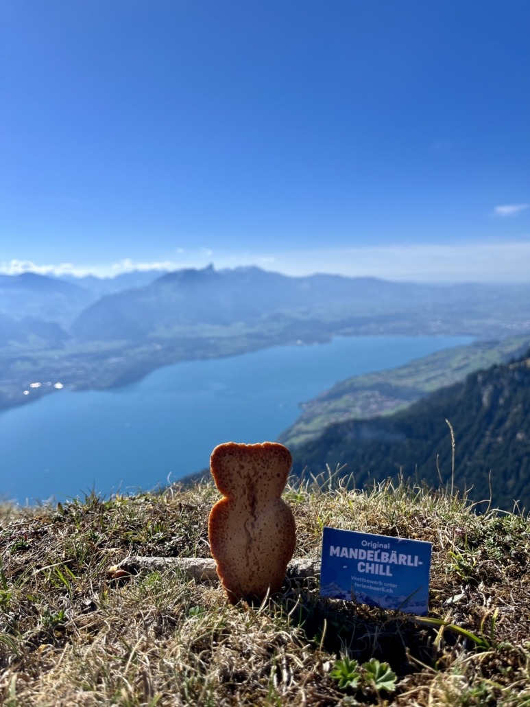 Ausblick Niederhorn