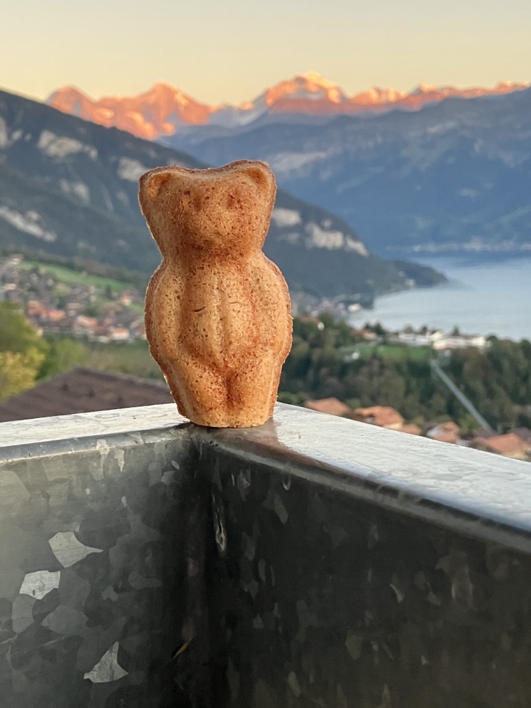 Abend Bär