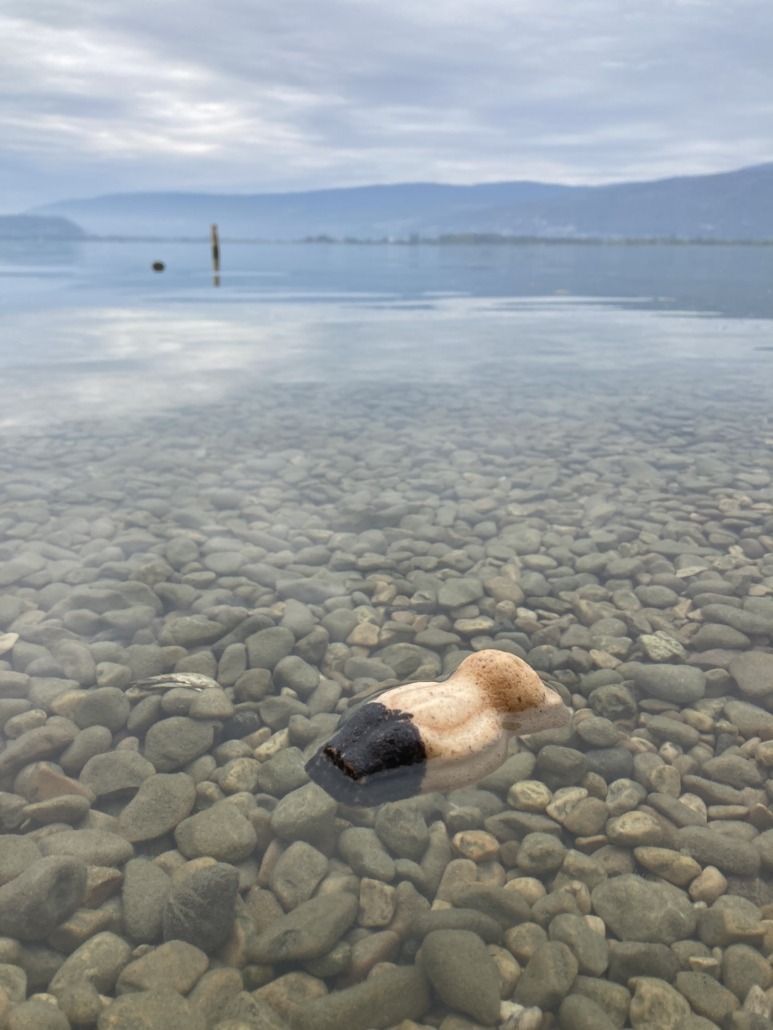 Mandelbärli am Schwimmen im Bielersee
