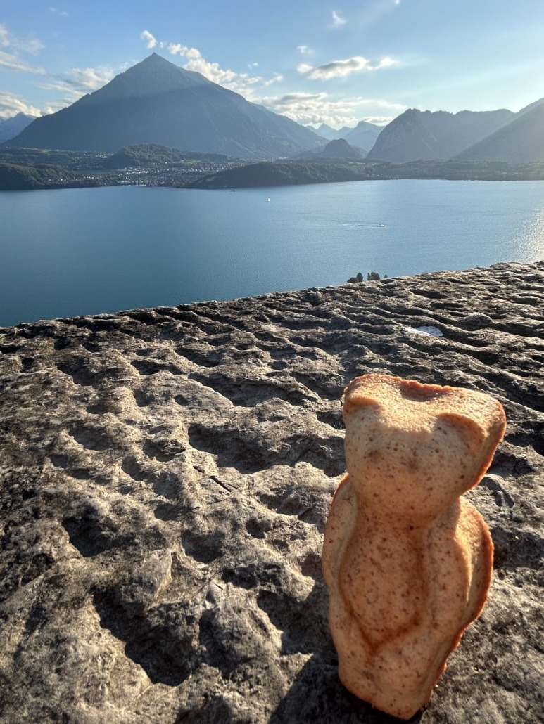 Chilly13, Aussicht Thunersee und Niesen