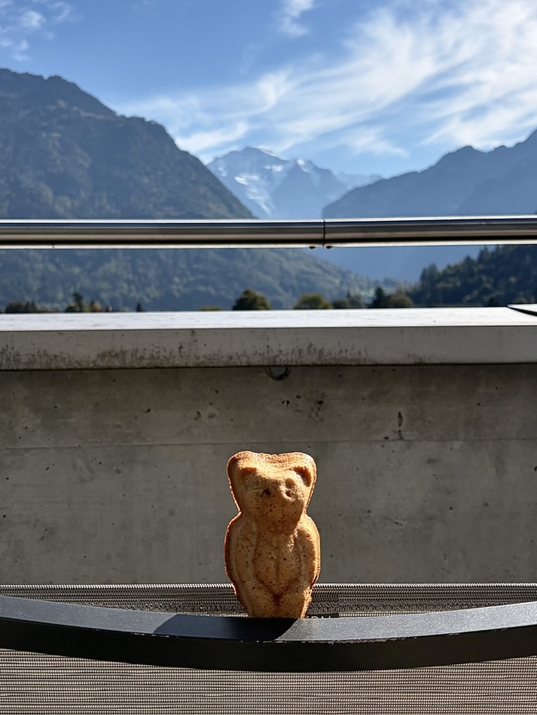 Interlaken-> Jungfrau
