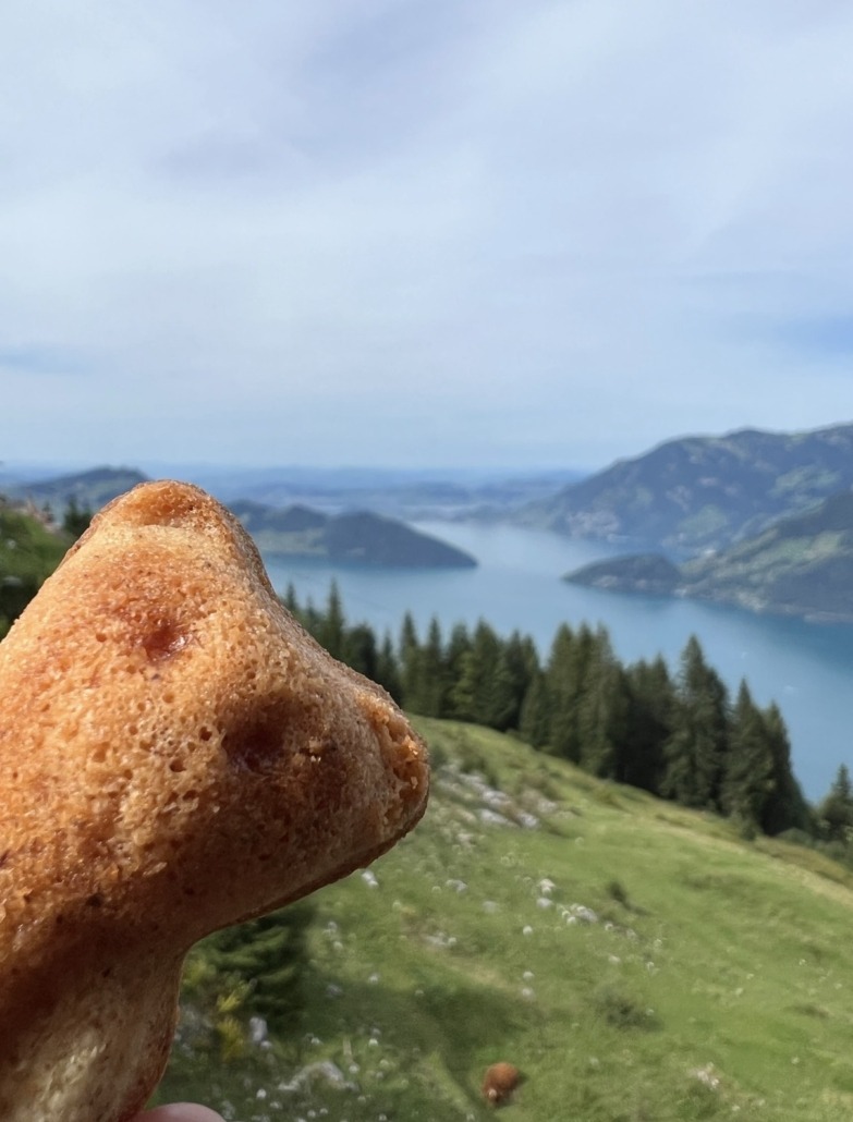 Hallo-Bär