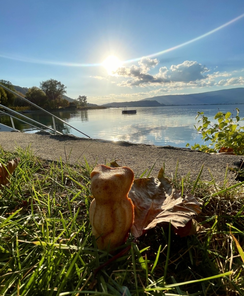 Sunny bear in Lüscherz